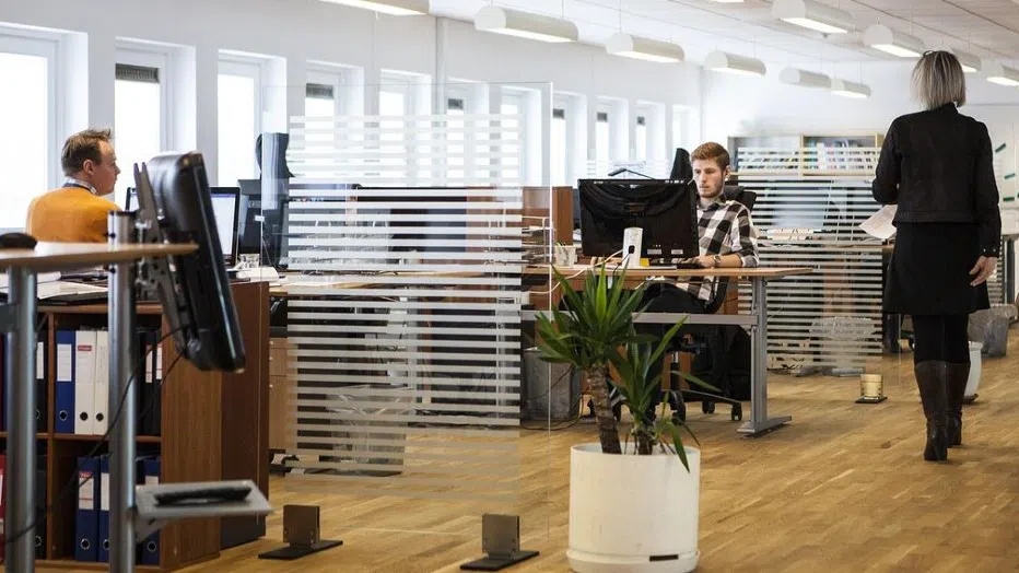 30-годишният опит на Финландия: Докъде водят любовните връзки в офиса