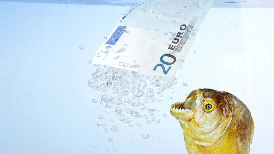 Заплатите излизат на светло: Как новата директива на ЕС променя корпоративната култура