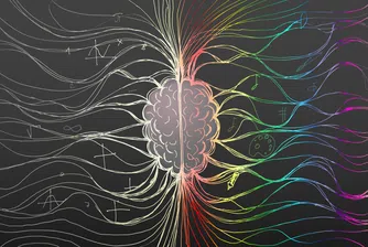От Борхес до Дженифър Анистън: Науката започва да разкрива мистериите на паметта