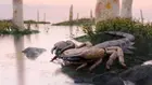 Учени възстановиха образа на гигантски праисторически скорпион с размерите на бейзболна бухалка