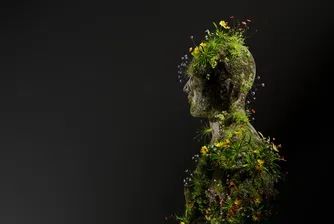 При навременна превенция, дори хора с генетичен риск от инсулт и деменция, биха могли да намалят вероятността за подобни заболявания