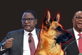 Битка за попечителство над кучета разтърсва върховете на властта в Малави