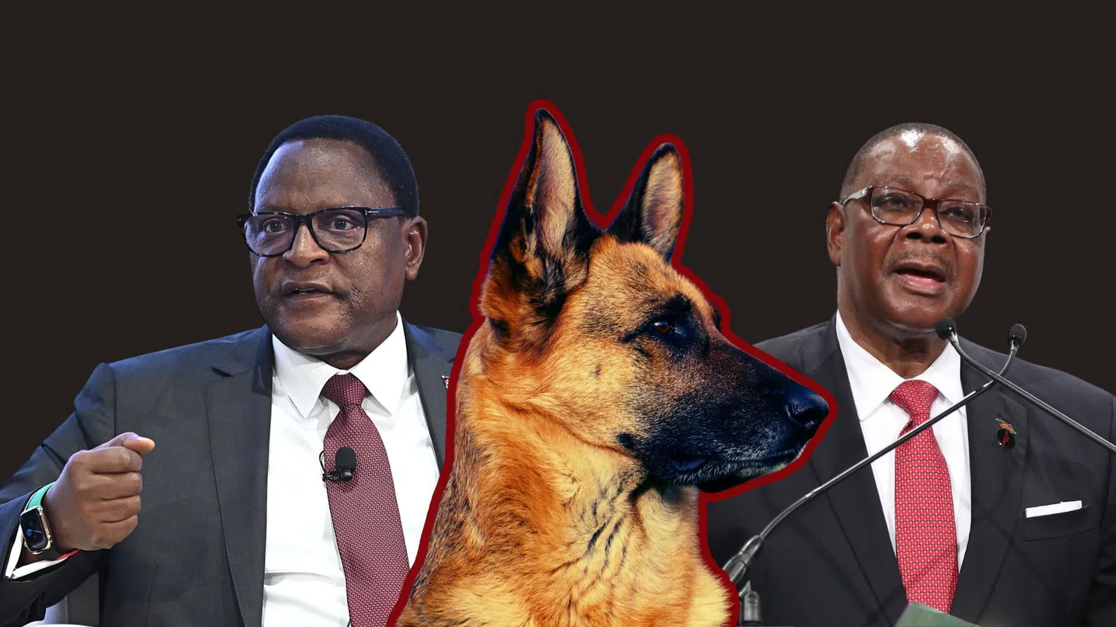 Битка за попечителство над кучета разтърсва върховете на властта в Малави