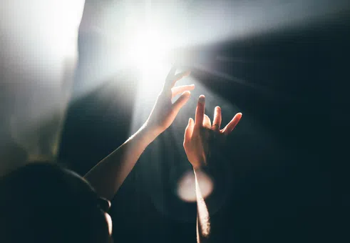 С малки стъпки и без излишни очаквания – как да открием смисъла на живота?