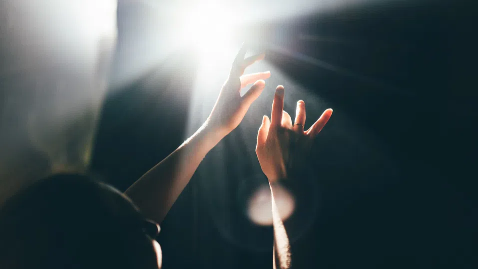 С малки стъпки и без излишни очаквания – как да открием смисъла на живота?