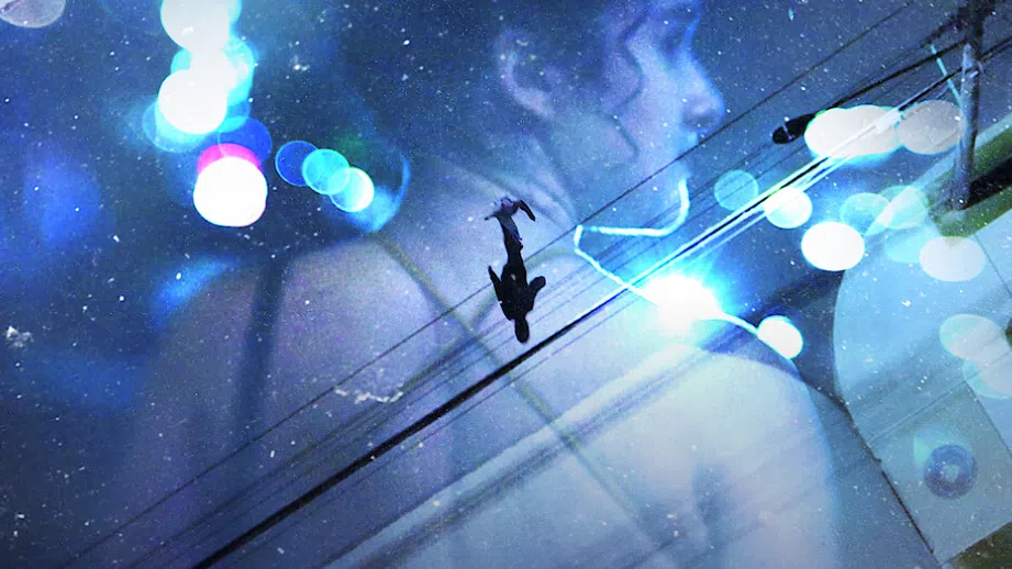 12 години мълчание и един сериен убиец: Историята на Gone Girls