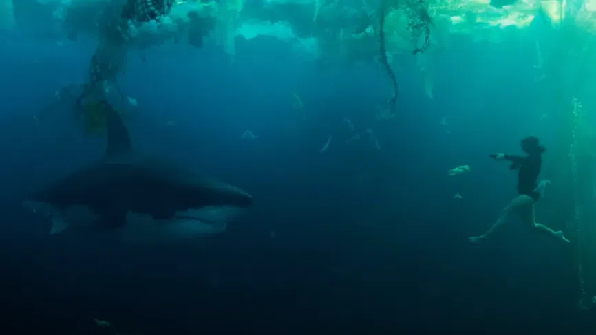 Кръвожадна акула дебне спортисти в Париж – воден хорър взриви Netflix преди Игрите