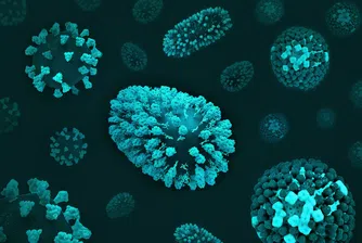 Екзистенциална заплаха: Синтетични бактерии застрашават живота на Земята