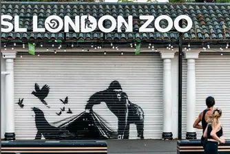 Горила в лондонския зоопарк сложи край на животинската серия на Банкси
