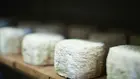 От България до Монголия един човек търси забравените традиции в производството на сирене