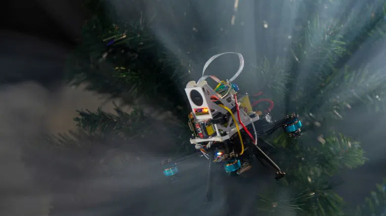 Роботи с инстинкта на прилепи: Новата вълна спасителна технология за труднодостъпни и екстремни терени