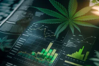 Еуфория в акциите на канабиса, очаква се Тръмп да облекчи бизнеса