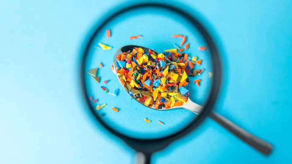 „Бомба със закъснител“ за науката: Съмнения около микропластмасите в човешкия организъм