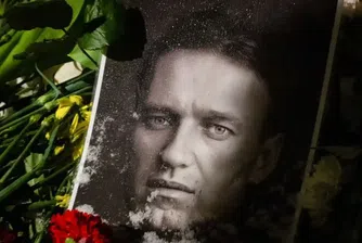 Навални е бил убит с рядка жабешка отрова, показва съвместно европейско разследване