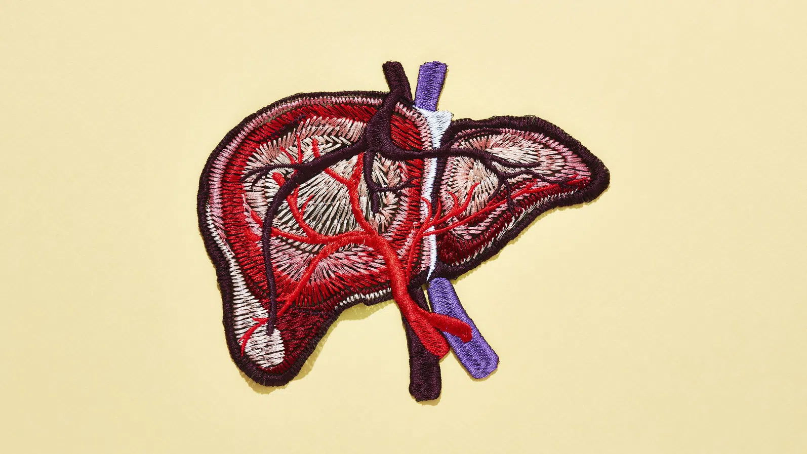 Проучване: Близо 2 милиарда души ще бъдат засегнати от метаболитна чернодробна болест до 2050 г.