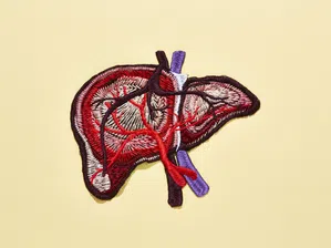 Проучване: Близо 2 милиарда души ще бъдат засегнати от метаболитна чернодробна болест до 2050 г.