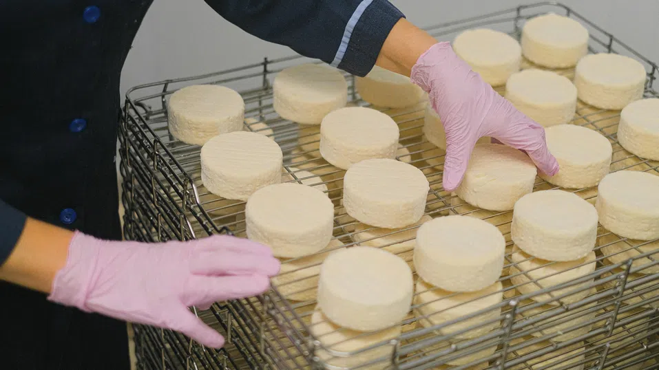 КНСБ: Цените на млечните продукти в България са едни от най-високите в Европа