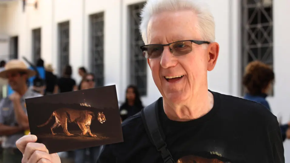 Планинският лъв, който вдъхнови изграждането на най-големия надлез за диви животни в света