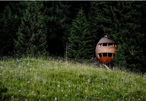 Спретната къщурка на дърво: Мечтата да живееш сред клони и листа