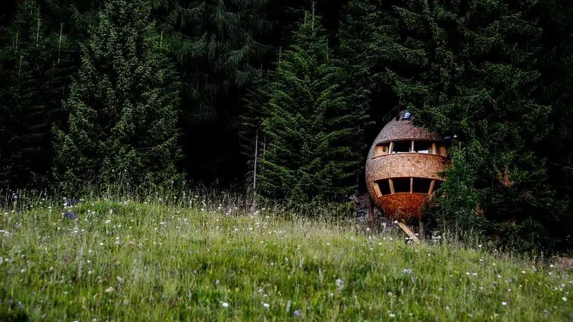 Спретната къщурка на дърво: Мечтата да живееш сред клони и листа