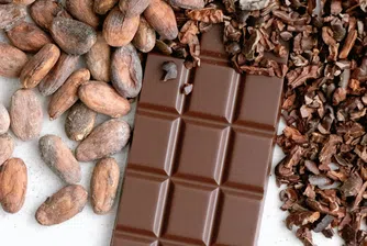 По-ниските цени на какаото свиват маржовете и изпращат акциите на Barry Callebaut надолу