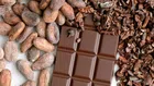 По-ниските цени на какаото свиват маржовете и изпращат акциите на Barry Callebaut надолу