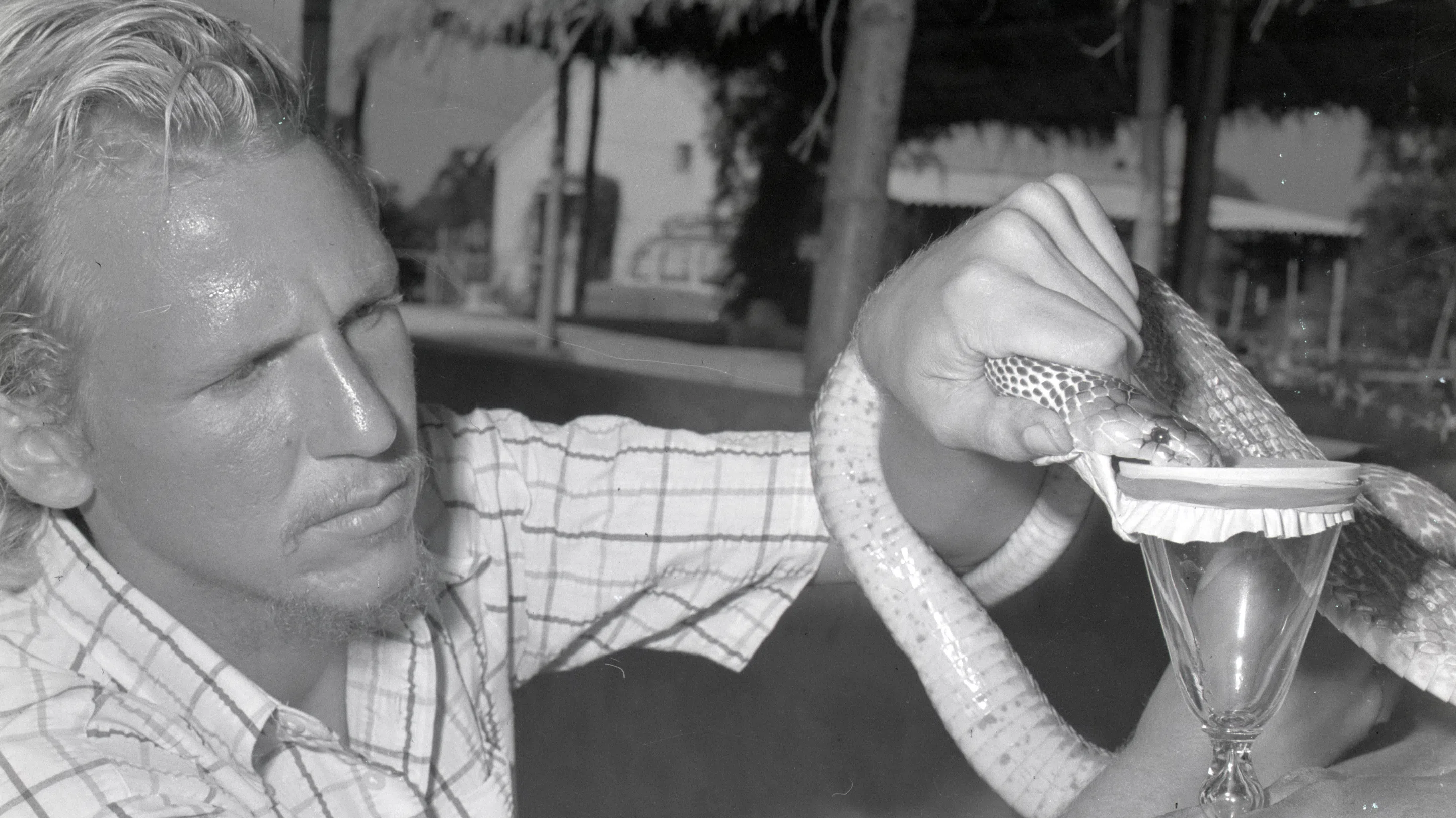 „Змии, дрога и рокендрол“: Той посвети живота си на най-опасните влечуги и не съжалява