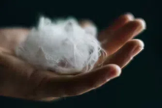 От пера до кашмир: AI стартъп търси решение за проблемите на текстилната индустрия