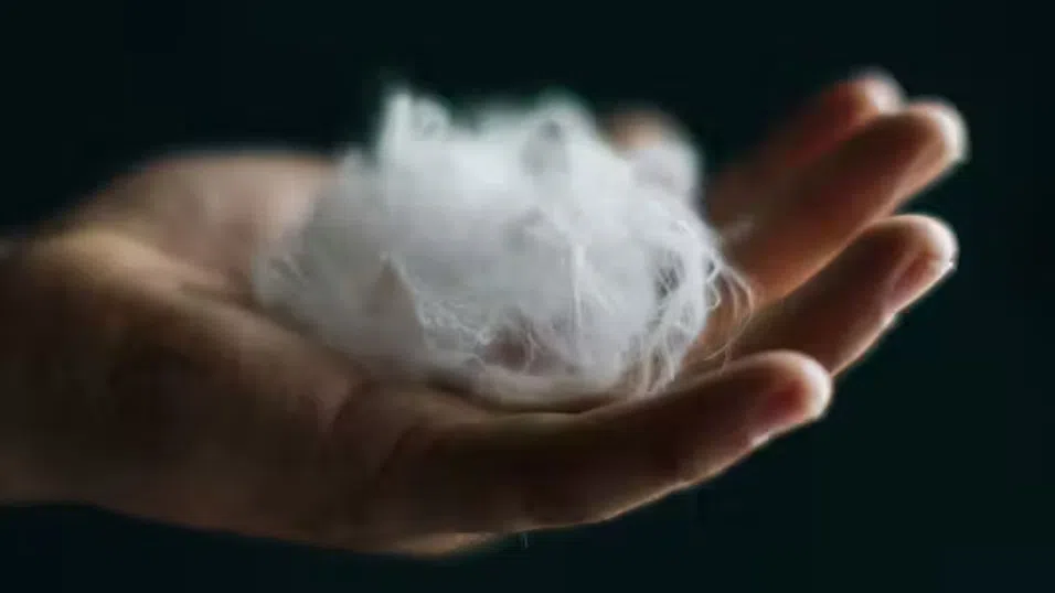 От пера до кашмир: AI стартъп търси решение за проблемите на текстилната индустрия