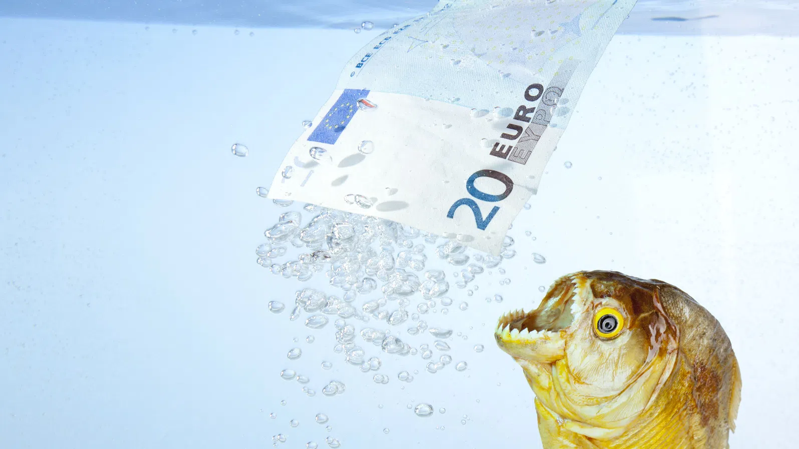 НСИ: Най-голямото увеличение на цените през януари на годишна база е в групата „Развлечения, спорт и култура"