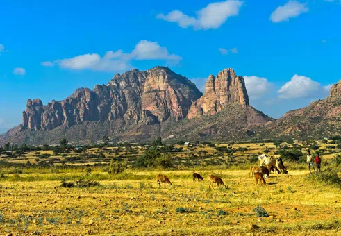 Голямото разцепване на Африка: Защо разпадането на континента е толкова вълнуващо за науката?