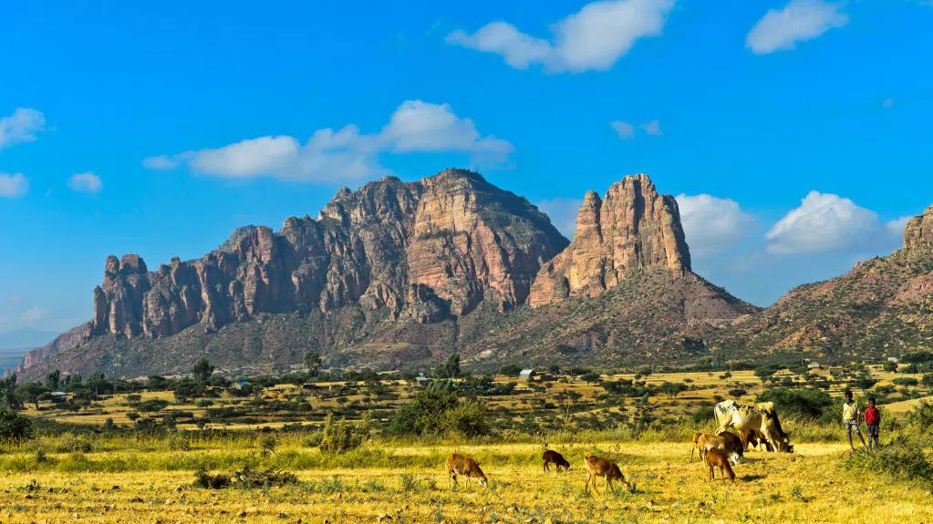 Голямото разцепване на Африка: Защо разпадането на континента е толкова вълнуващо за науката?