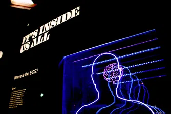 Креативната абразия е новият двигател на бизнес растежа