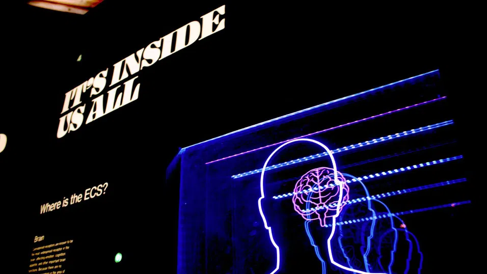 Креативната абразия е новият двигател на бизнес растежа