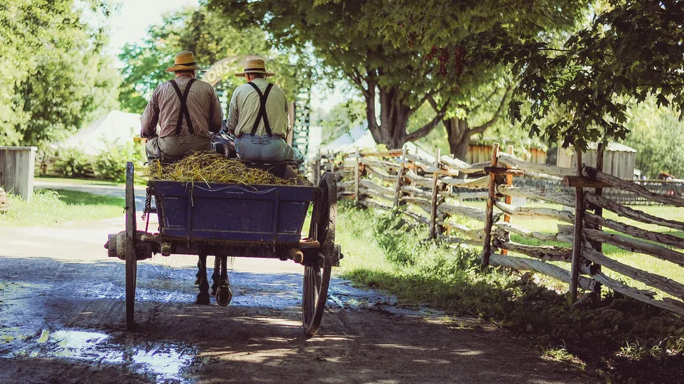 ЕС глобява Гърция с близо 400 млн. евро заради земеделските субсидии