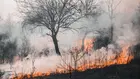 Хиляди хектари горят в Белгия, а пожарите в Южна Европа вземат жертви