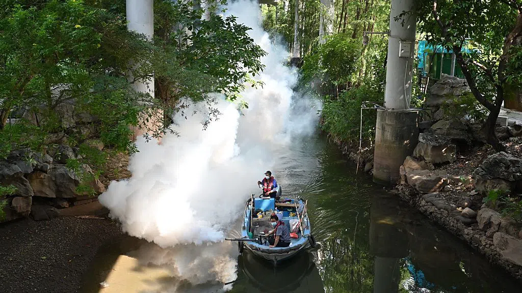 Проучване: Мъчителна тропическа болест вече може да се предава в по-голямата част от Европа