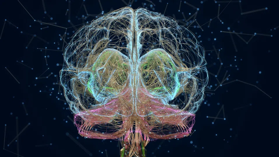 Ум над материя: Възходът на мозъчно-компютърните интерфейси