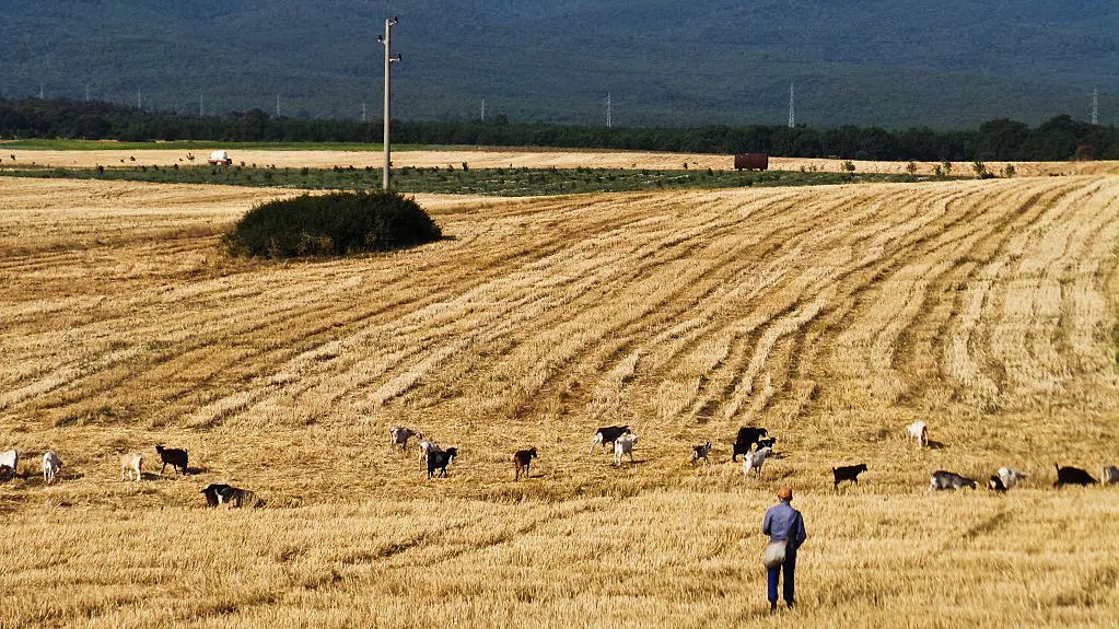 Иван Христанов пред POLITICO: Трябва да се превърнем в държава, в която корупцията е изключение, а не система