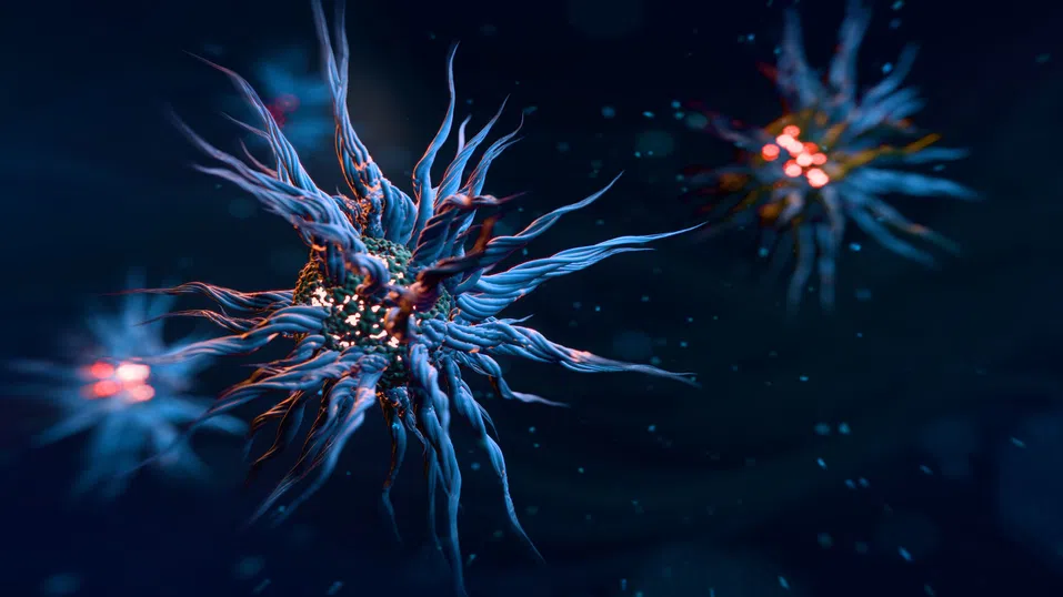 Туморните клетки използват генетичен трик, за да станат резистентни към лекарствата, установяват учени