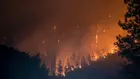 Европа не успява да се справи с новата реалност на горските пожари