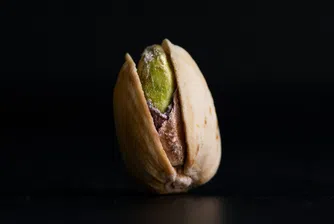 Шамфъстъкът е богат на хранителни вещества, притежава висока масленост и е перфектен както за самостоятелно похапване, така и като част от различни ястия и напитки