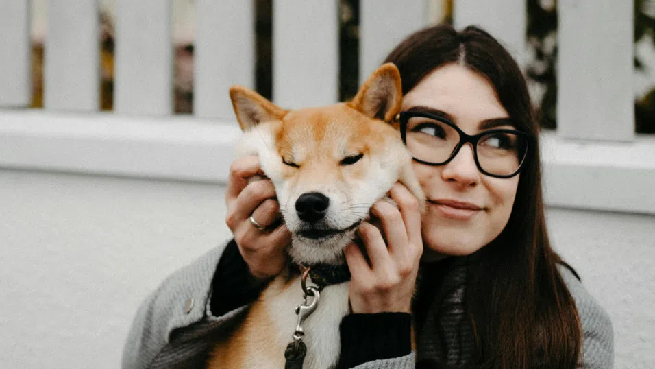 Как кучетата променят мозъка на стопаните си – чрез микробиома