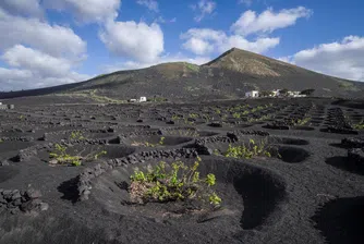 Традицията датира от близо 250 години и е плод на изключителни изобретателност и упорство