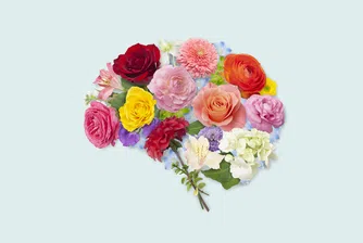 Когнитивното дълголетие – шест стратегии за мозъчно здраве и добра памет