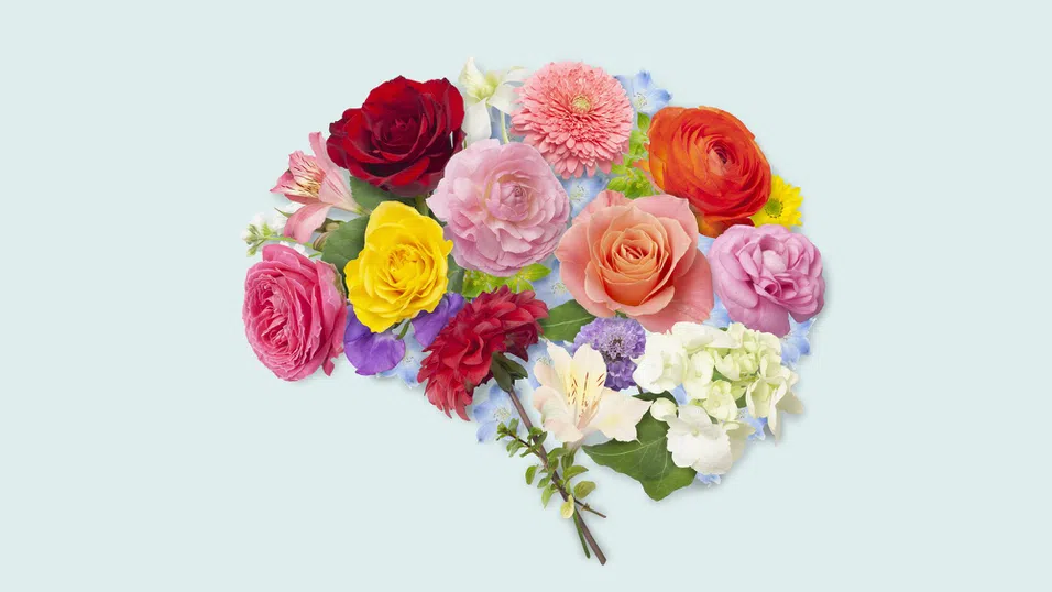 Когнитивното дълголетие – шест стратегии за мозъчно здраве и добра памет