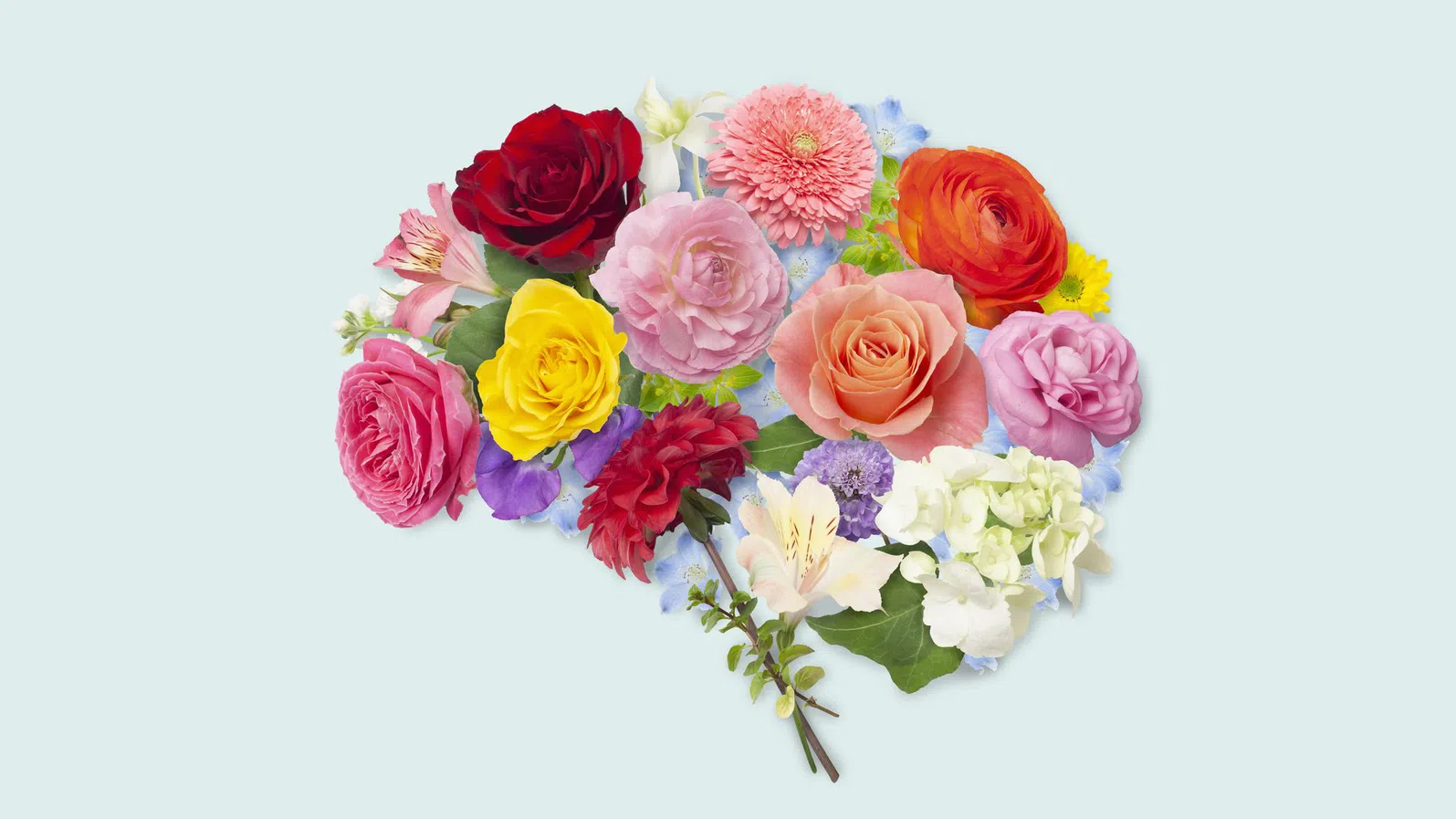 Когнитивното дълголетие – шест стратегии за мозъчно здраве и добра памет