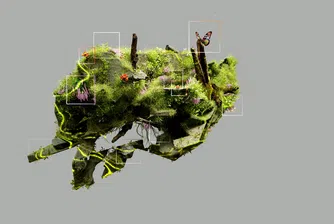 Колко струва ChatGPT на климата? Не питайте OpenAI – няма да кажат