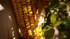 Климатичният риск вече се търгува на пазарите на суровини