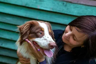 Кучетата знаят дали сме щастливи или тъжни само по изражението ни, според ново проучване